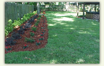 Image of a flower bed.